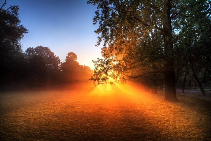 Vondelpark_GettyImages-158656094