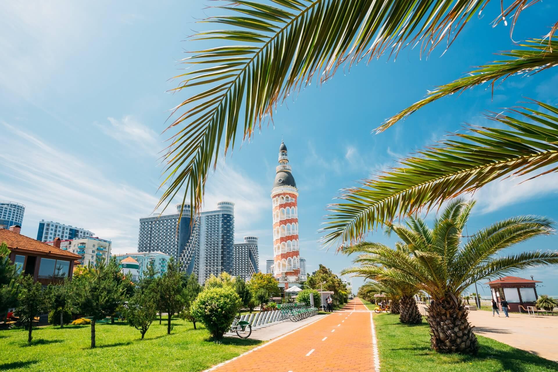 Skyline of Batumi in Georgia. Palm trees enter the frame, with the promenade running down the middle and tall buildings in the background.