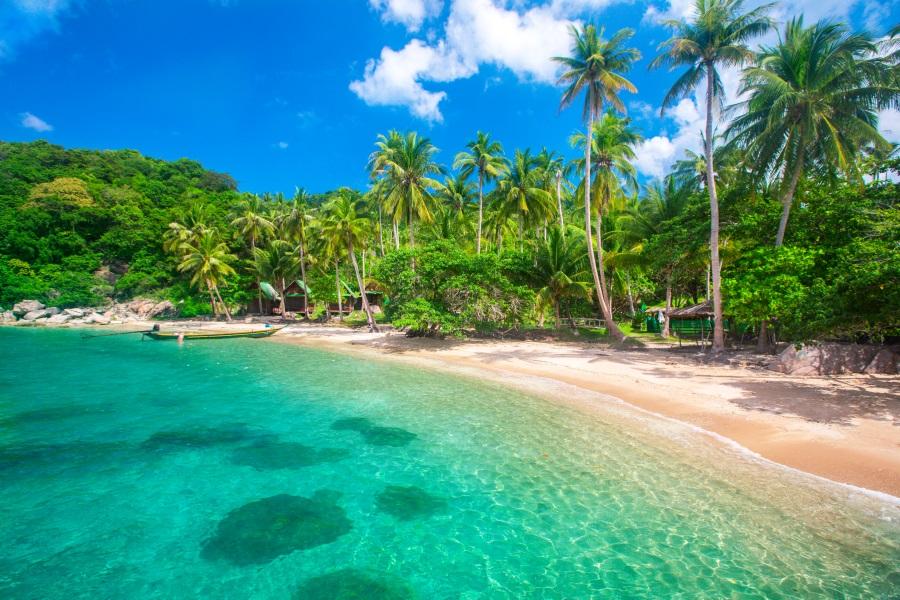 Turquoise sea, fine sandy beach, and shade-giving palm trees in front of dense jungle on Koh Tao, Thailand. Clear blue sky above.