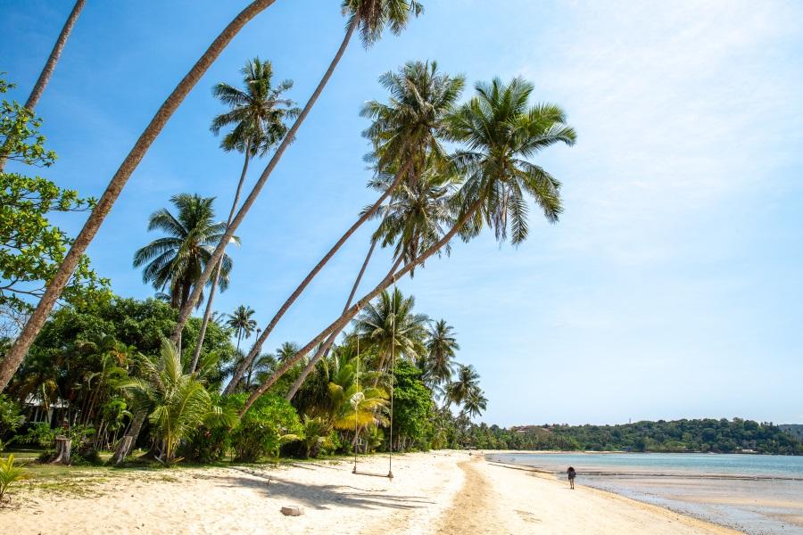 Beautiful-beach-with-Palm-trees-and-swing-at-Ao-Soun-Yai-beach-Koh-Mak-island-Trat-Thailand_shutterstock_1385115587_900x600