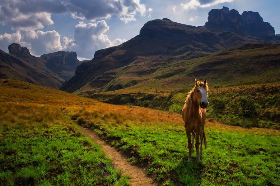Drakensberg Grand Traverse, South Africa