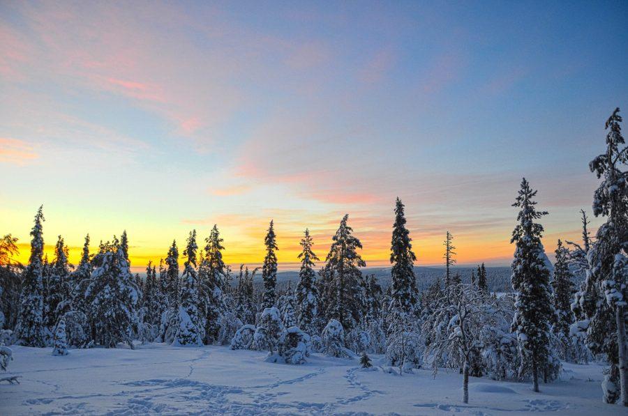 sunrise in snowy lapland