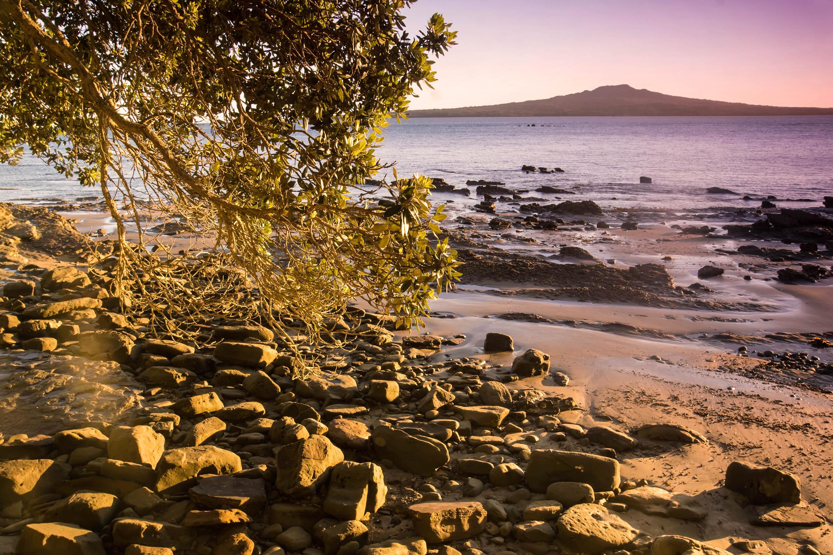 Rangitoto Island Auckland Tips