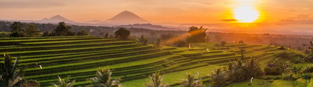Bali Rice Terraces