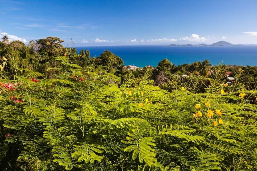 caribbean-island-guadeloupe-istock_000008795574_large-2