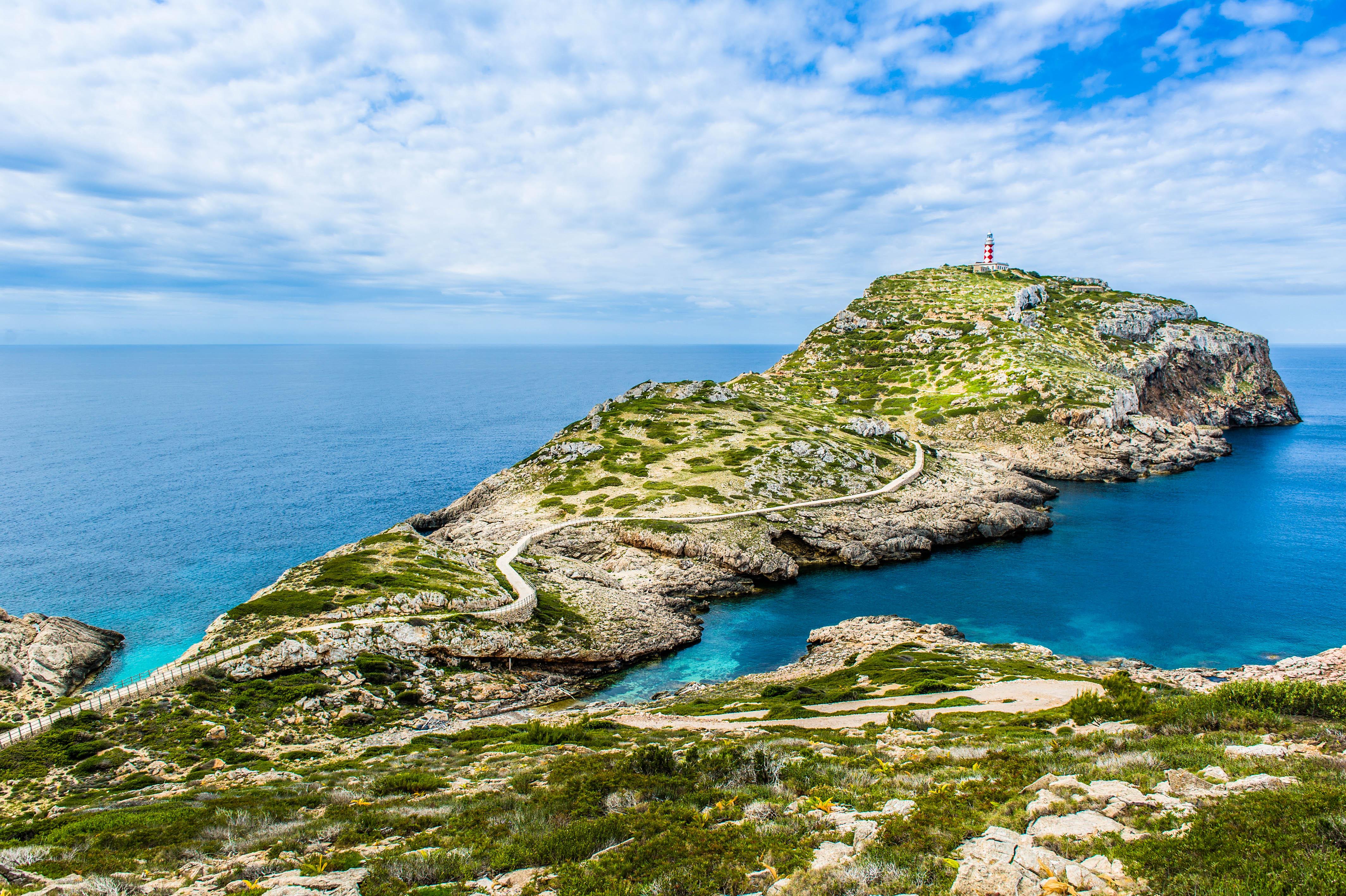 Excursion to the small uninhabited island of Cabrera.