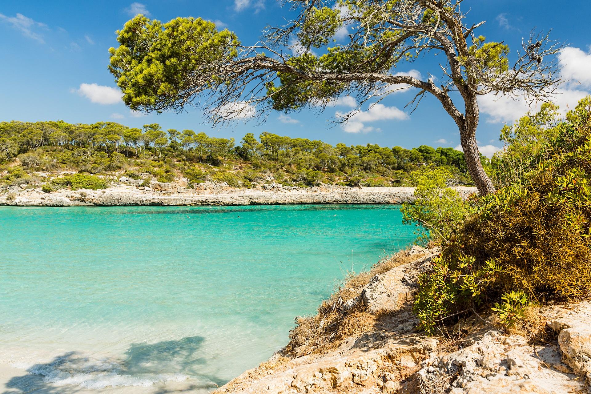 Parc Natural Mondragó - here awaits pure nature!