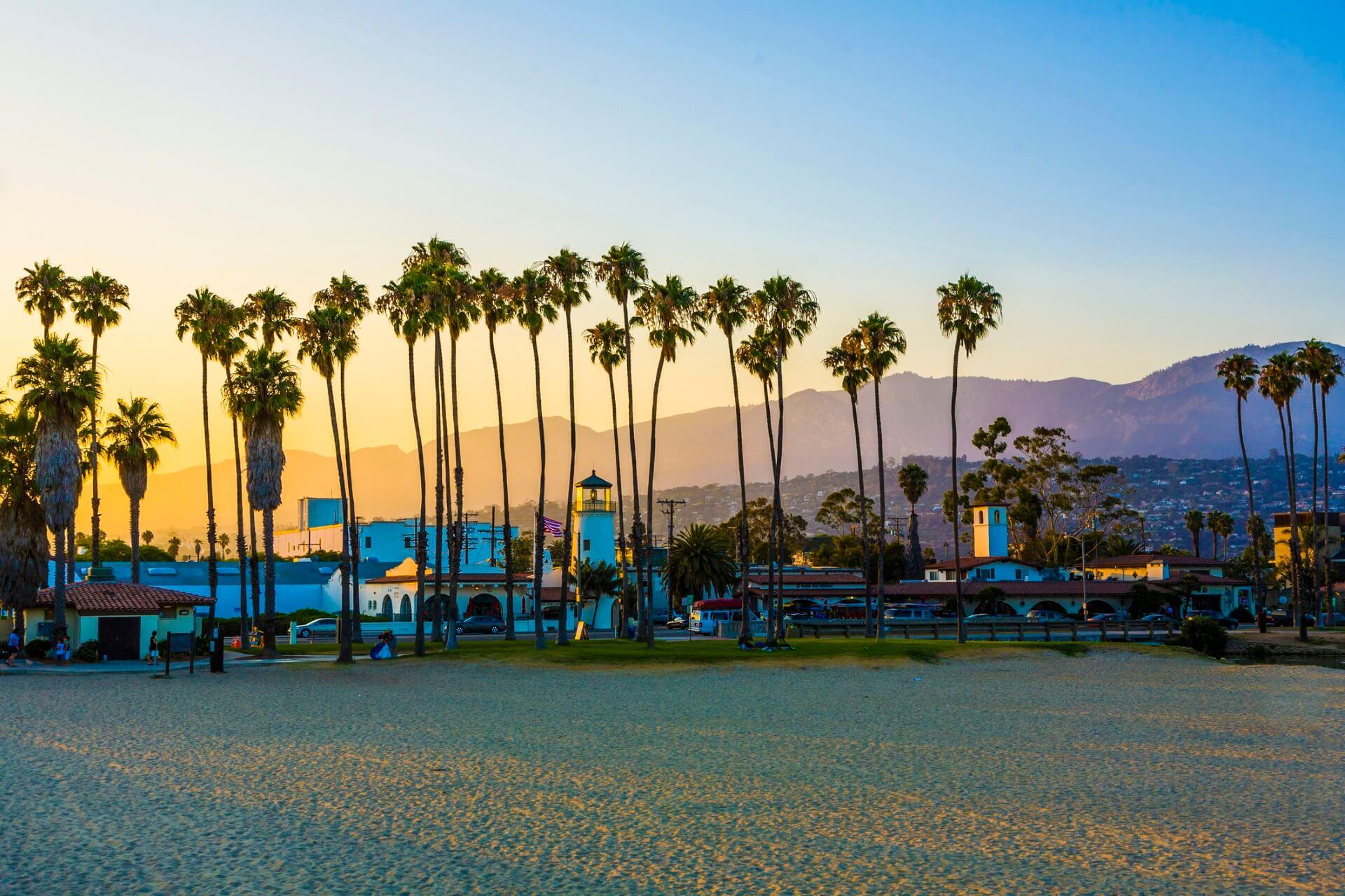 Palm trees and beach in Santa Barbara