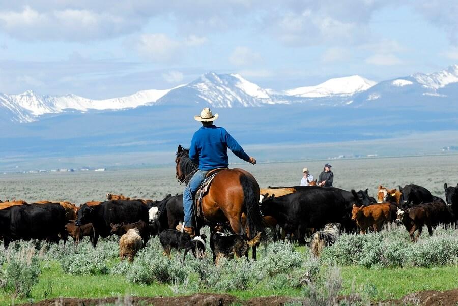 C Lazy U Ranch in the USA