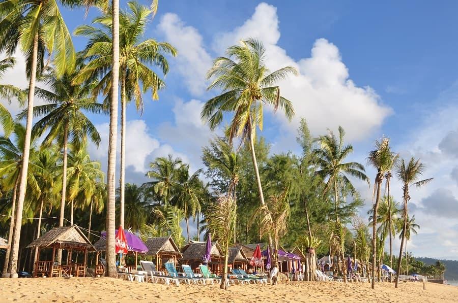 A beach in Khao Lak with white sand, loungers, and green palm trees