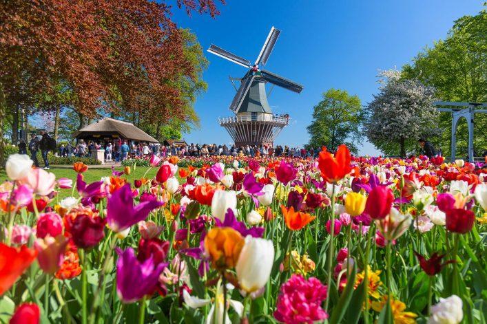 Keukenhof in Lisse, South Holland