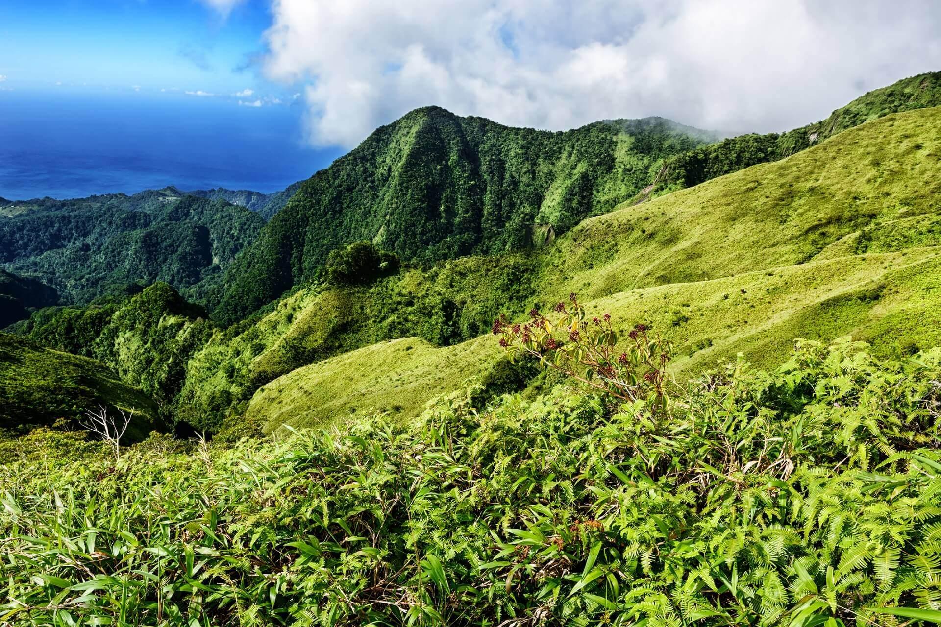 The view from Mount Pelée in Martinique is breathtaking