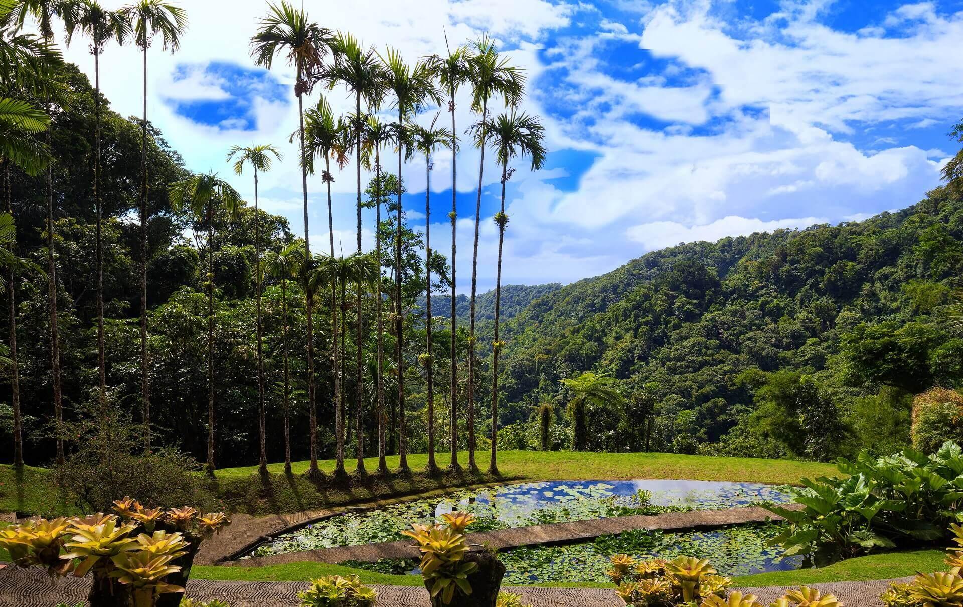 The botanical garden in Martinique is a must-see