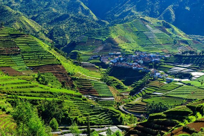 Dieng Plateau village
