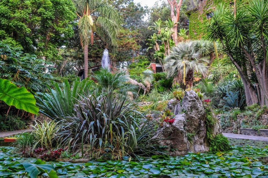 Giardini Ravino, Ischia