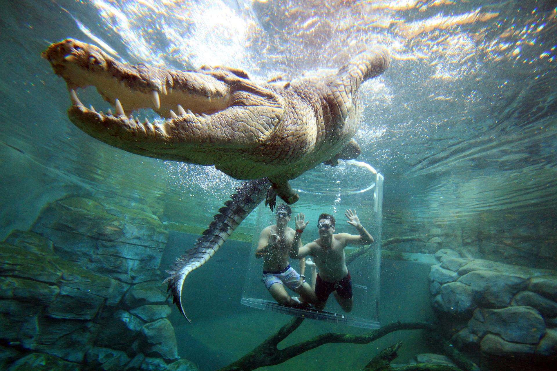 Crocosaurus Cove in Darwin