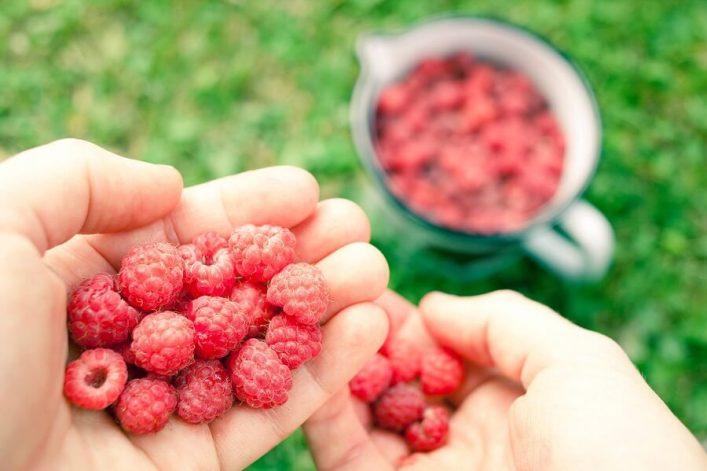 Elina-Sirparanta-Raspberry_006_elina
