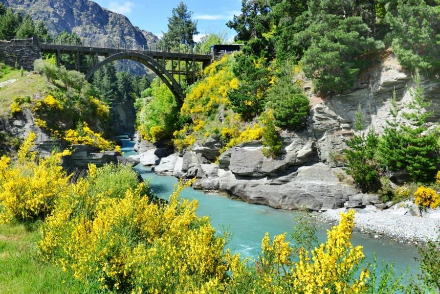 A picturesque bridge spans a turquoise river winding through a gorge with steep gray cliffs and bright yellow blossoming gorse bushes in the lush landscape of New Zealand's South Island sights, conveying a sense of tranquility and natural beauty.