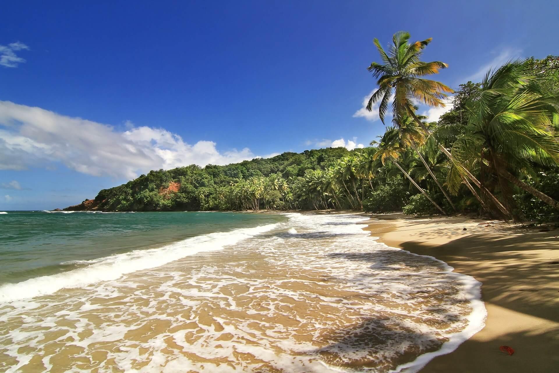 The beaches in Dominica are truly dreamy