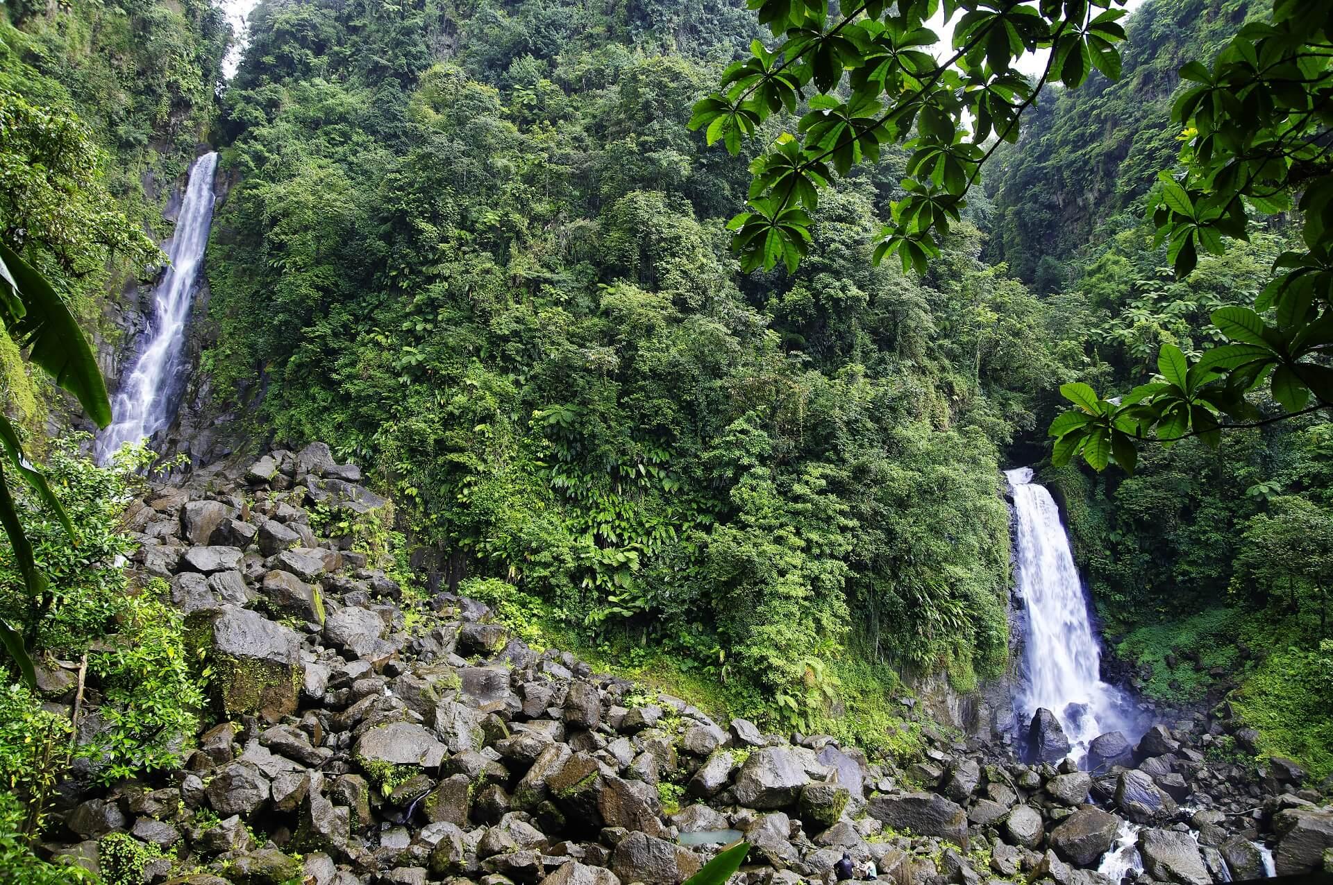 The Trafalgar Falls in Dominica split into two