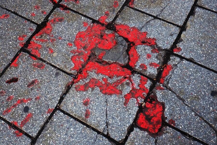 A Rose of Sarajevo