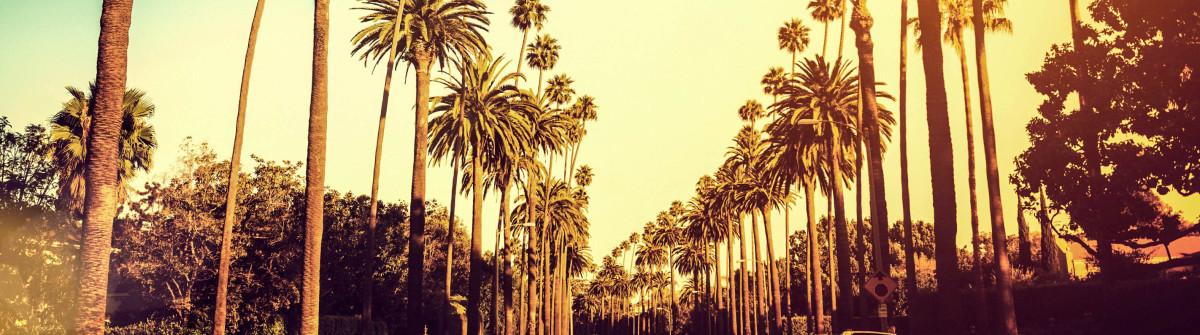 Los Angeles Tips
