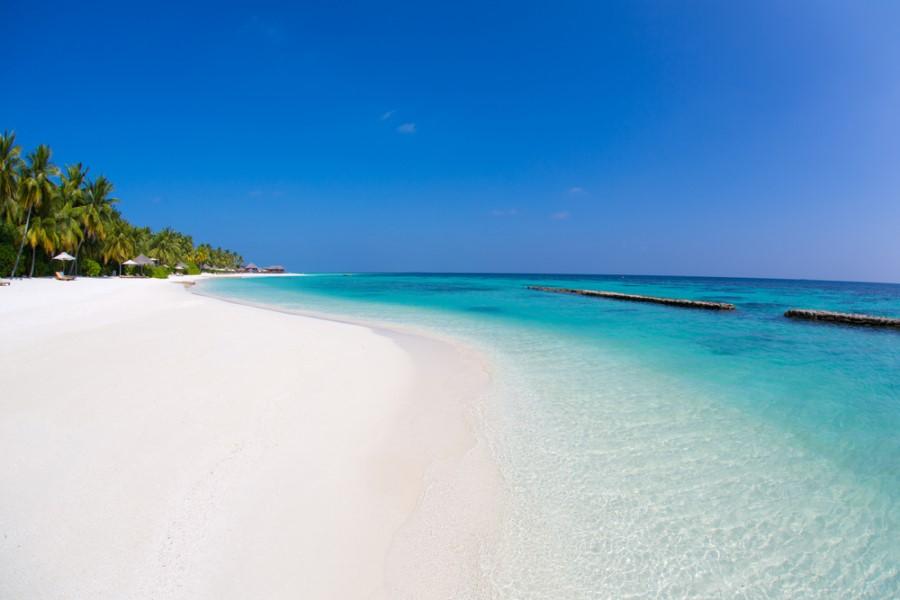 A white sandy beach with palm trees on the left, crystal clear turquoise water on the right. The perfect spot for a honeymoon in the Maldives under a bright blue sky. Pure peace and relaxation.