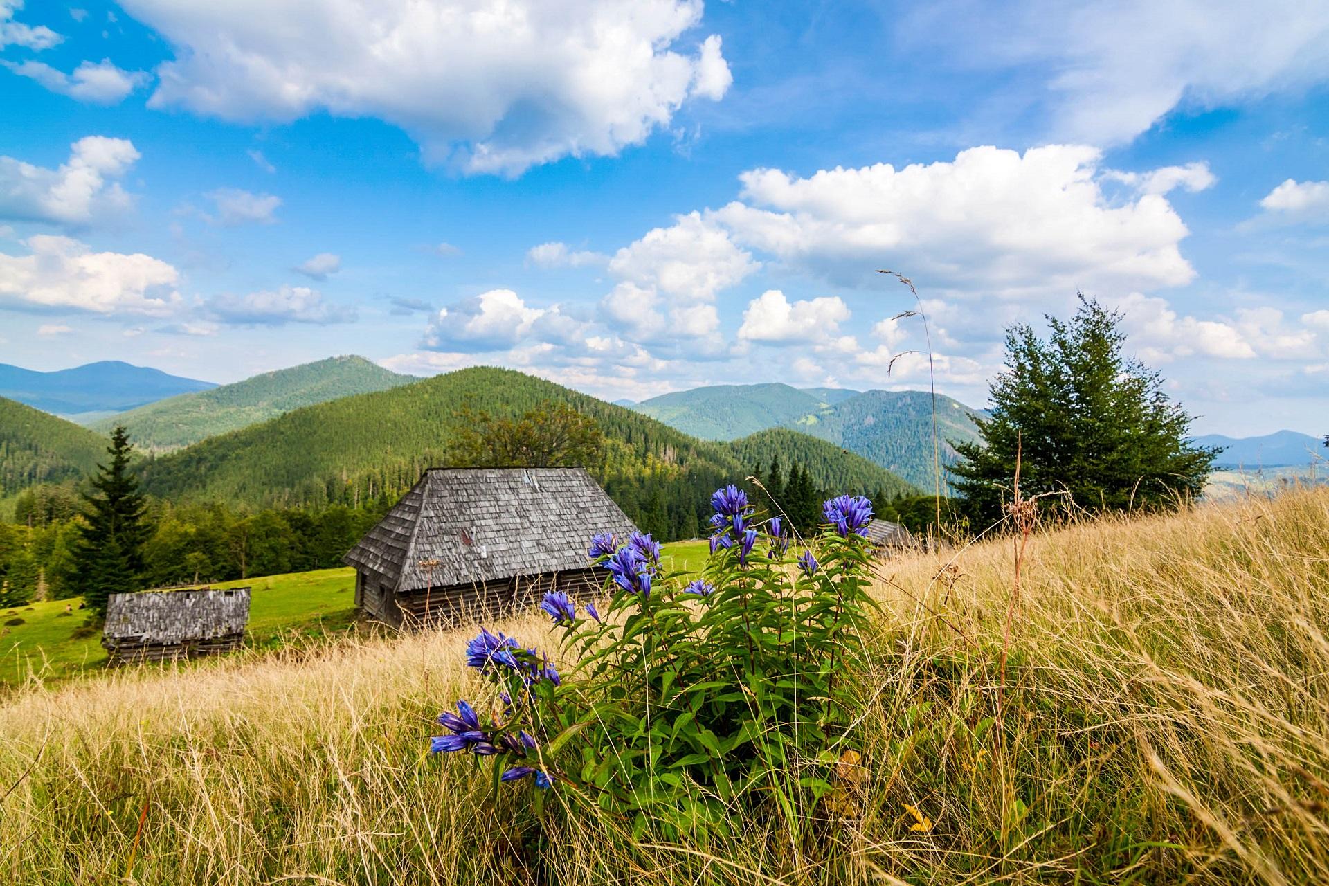 Ukraine Landscape