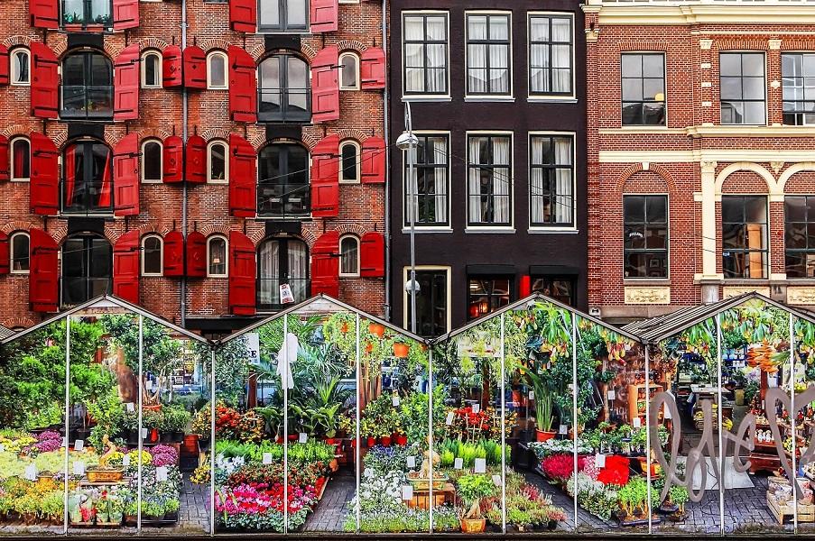 Flower Market Amsterdam