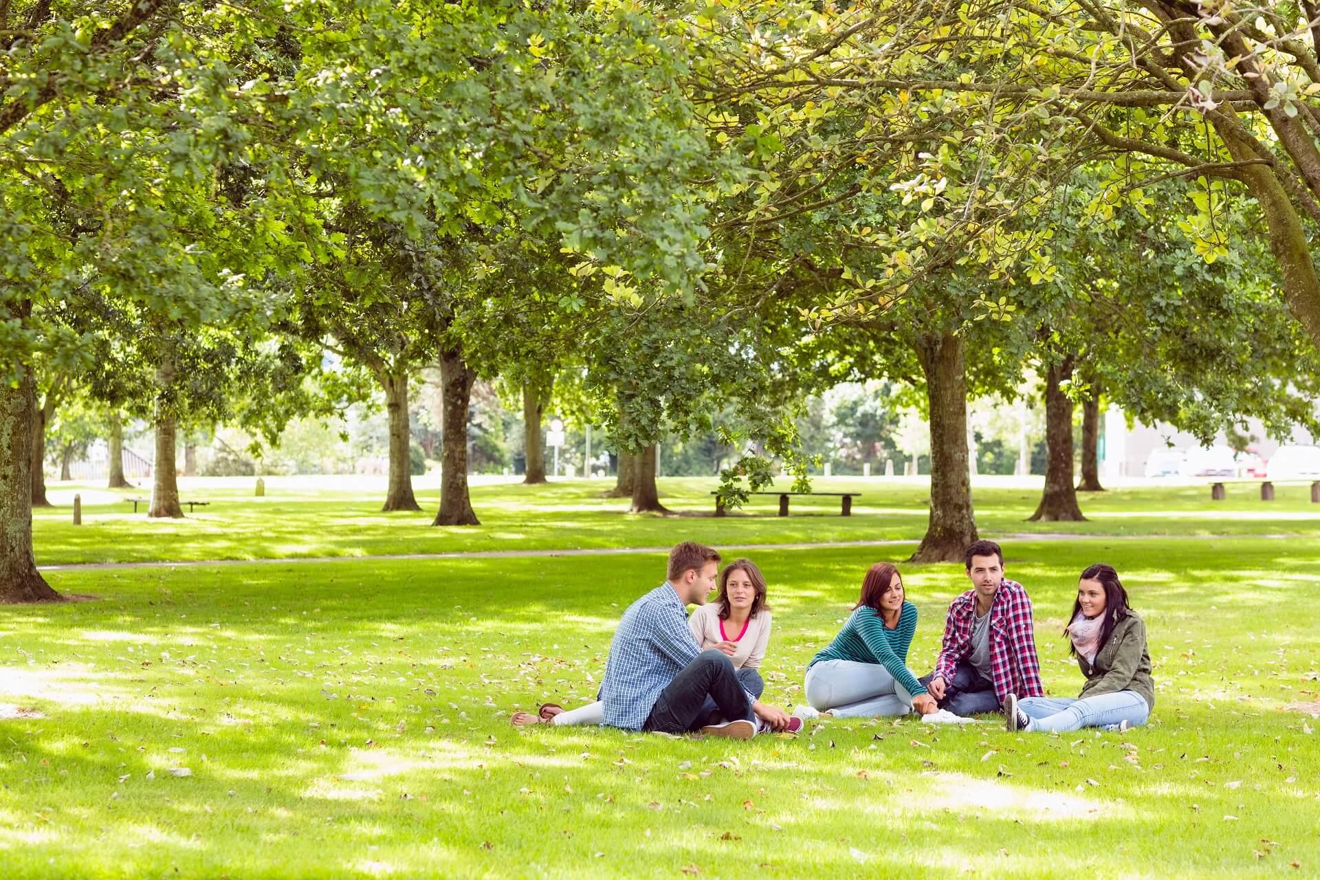 Enjoy popular mate tea in the park