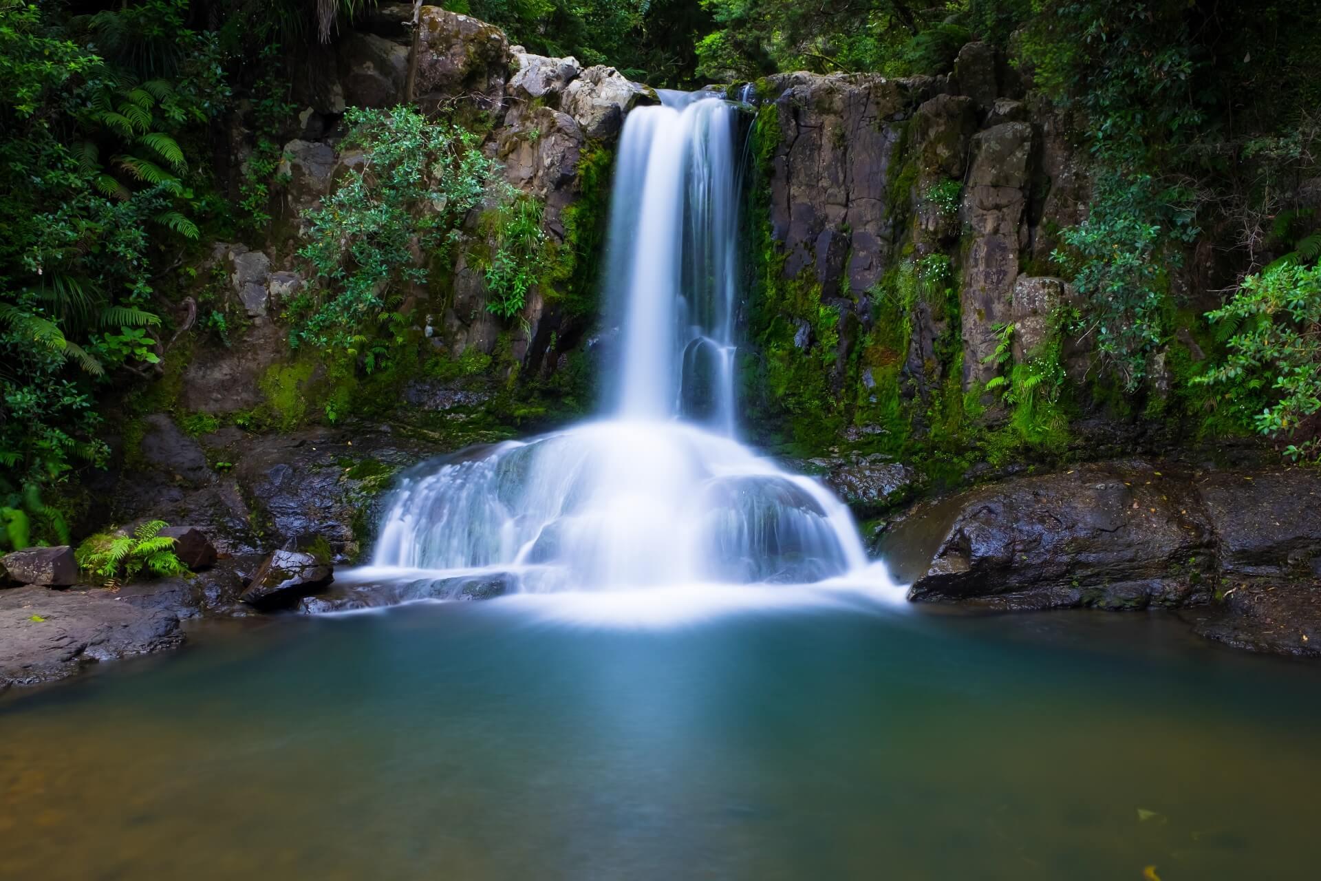 The Waiau Falls on the Coromandel Peninsula