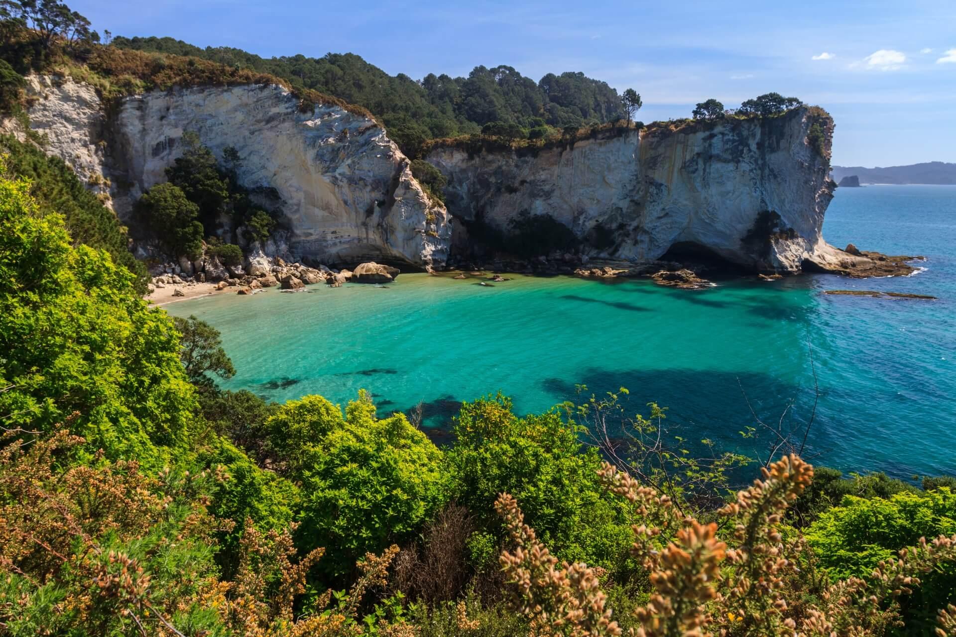 Mares Leg Cove on the Coromandel Peninsula