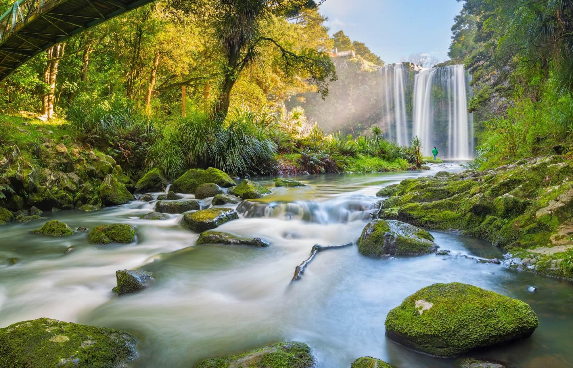 Whangarei Falls in New Zealand
