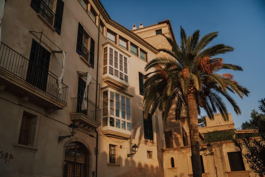 Palma-Atmosphere-Eyleen
