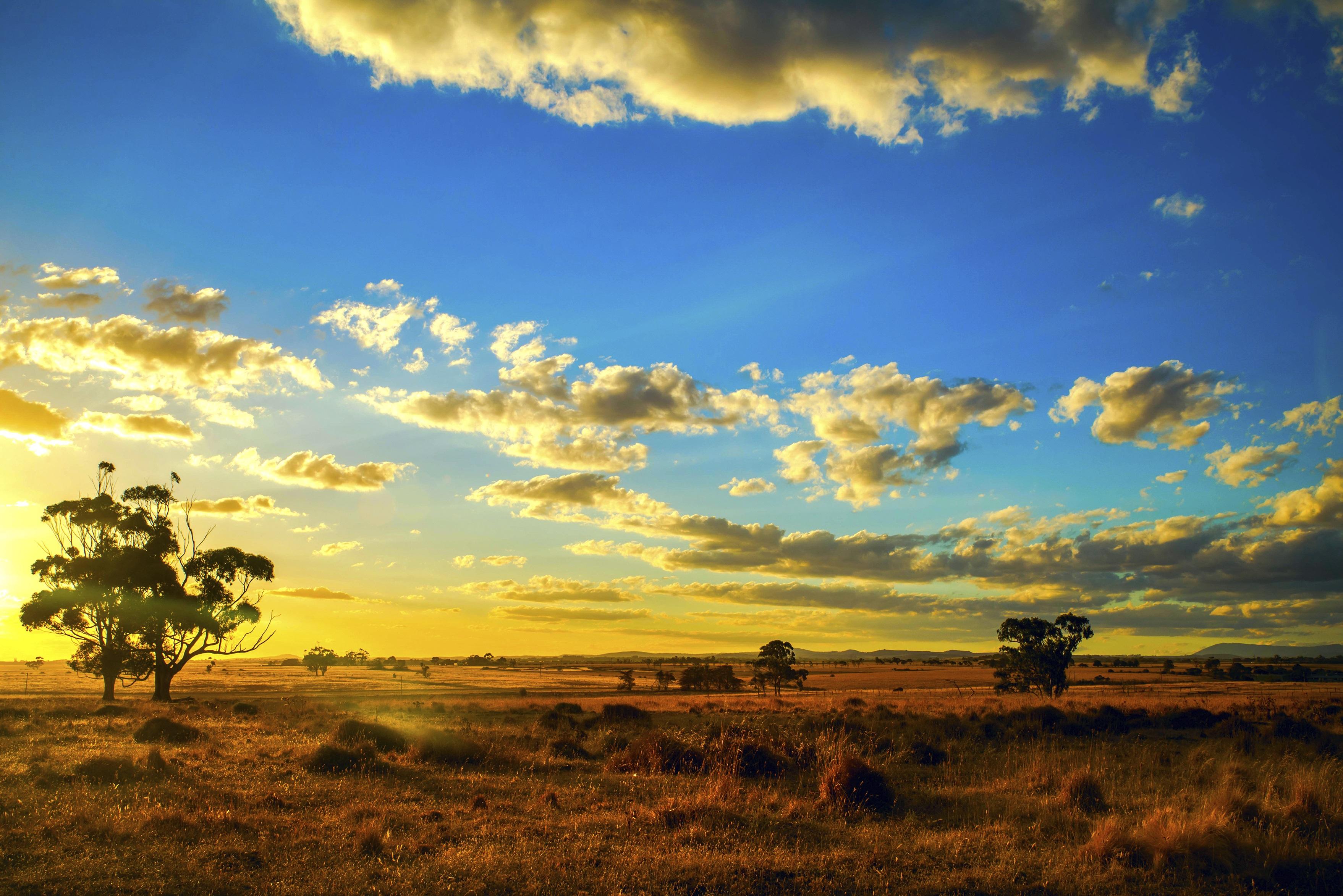 Australia Outback
