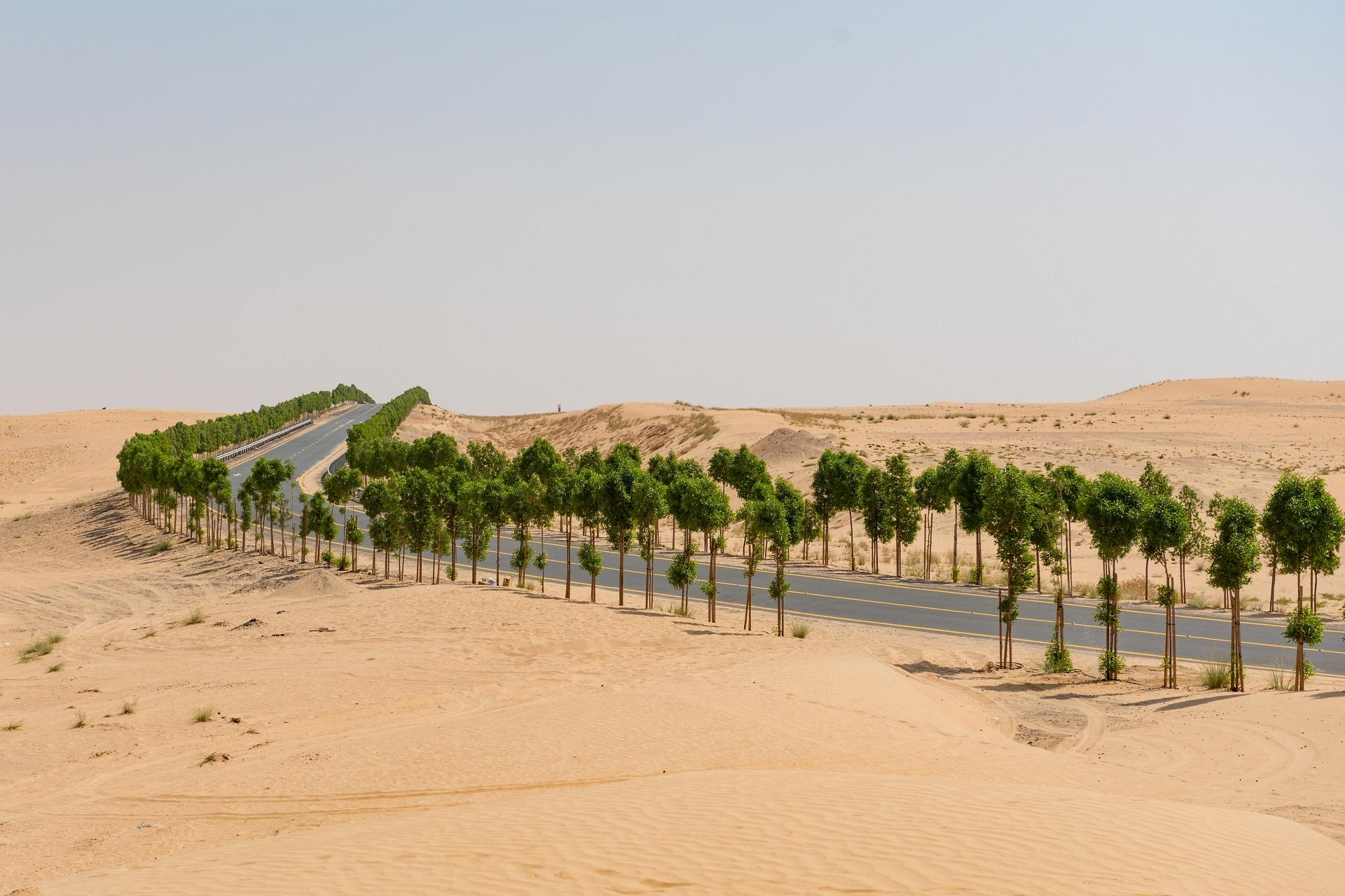 The emirate of Umm al-Quwain