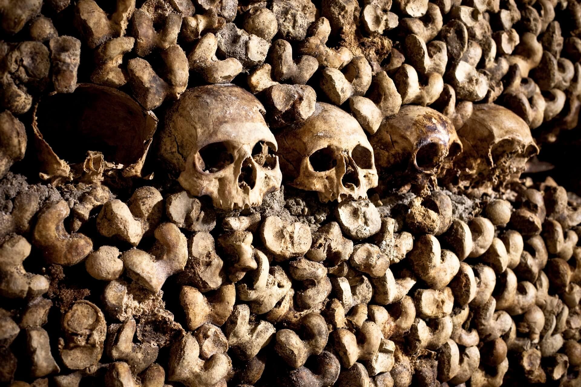 The Catacombs of Paris.