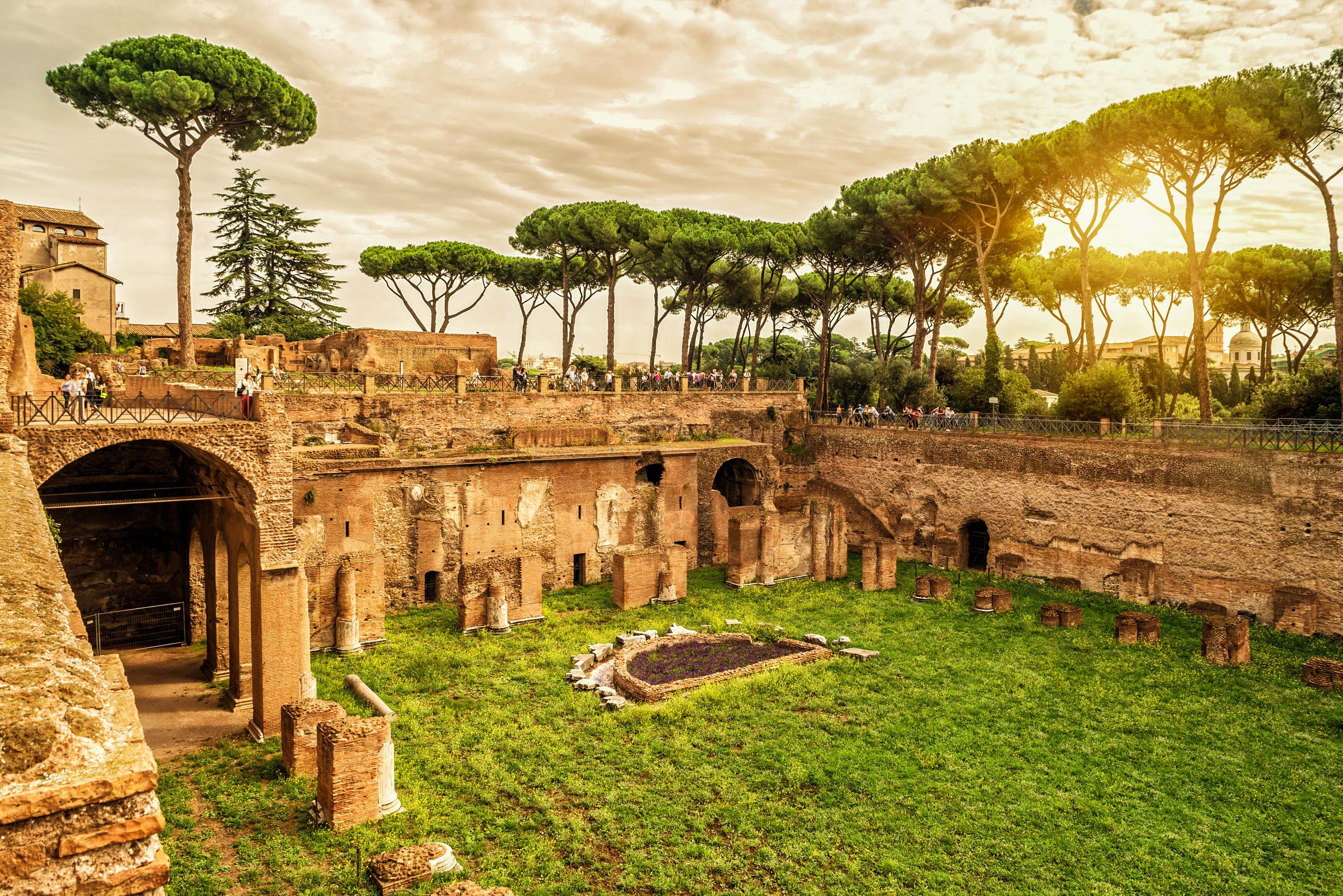 Ruins of the Stadium of Domitian on the Palatine Hill in Rome at sunset. Old walls surround a green meadow, with tall pines seen above shining in golden light.