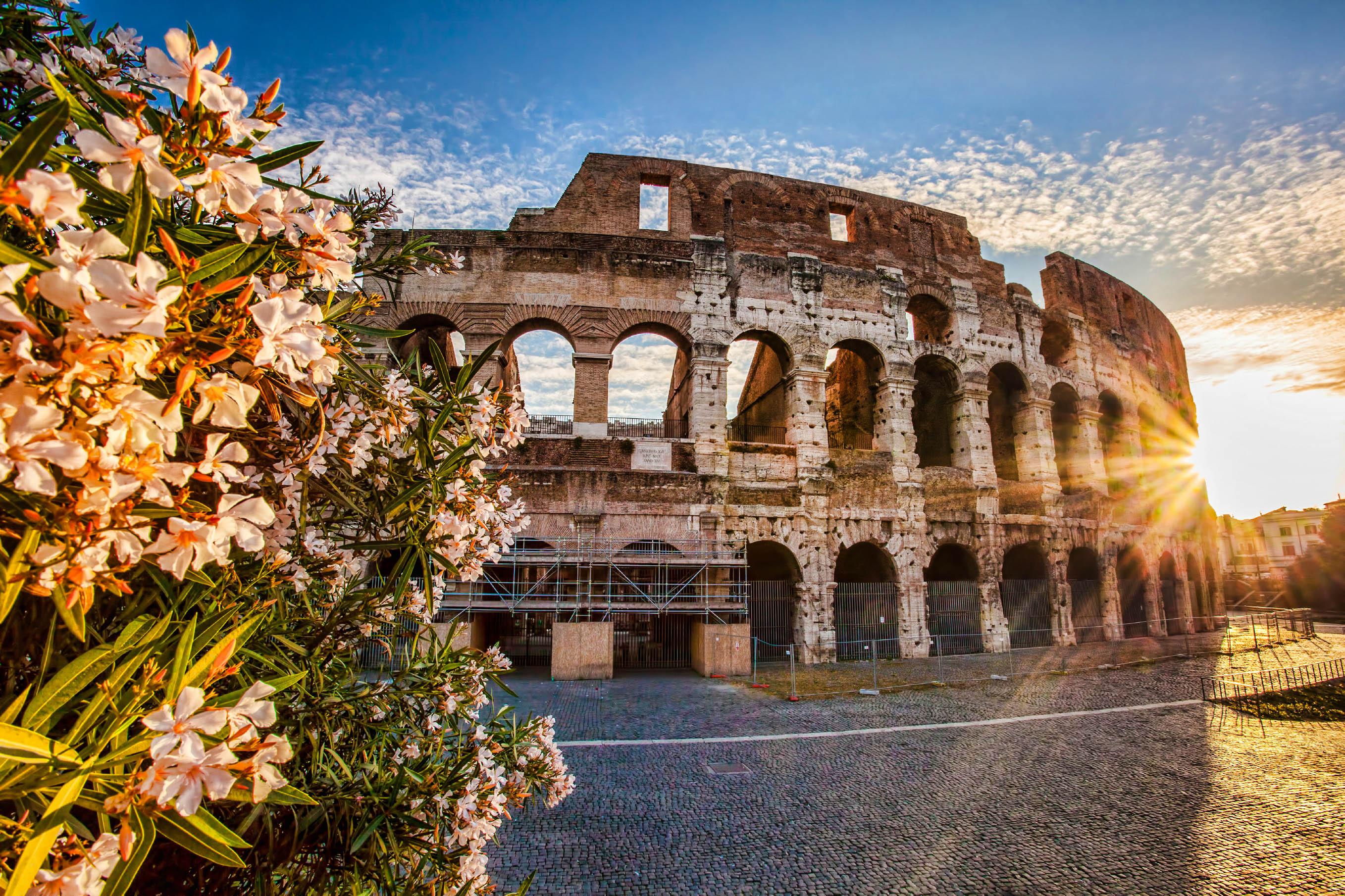 The Colosseum in Rome at sunset, illuminated on the right by sun rays. In the foreground on the left, blooming shrubs, a slightly cloudy sky, warm light illuminating the ancient architecture.