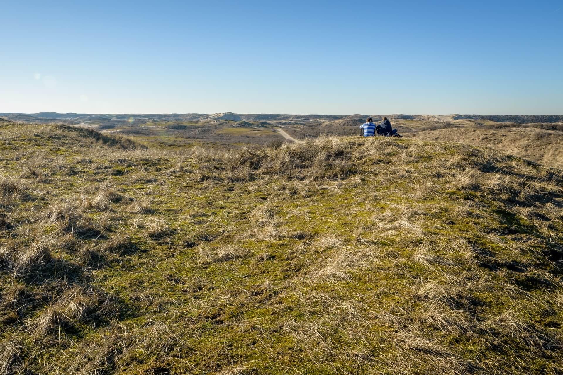 Dune landscape near Noordwijk