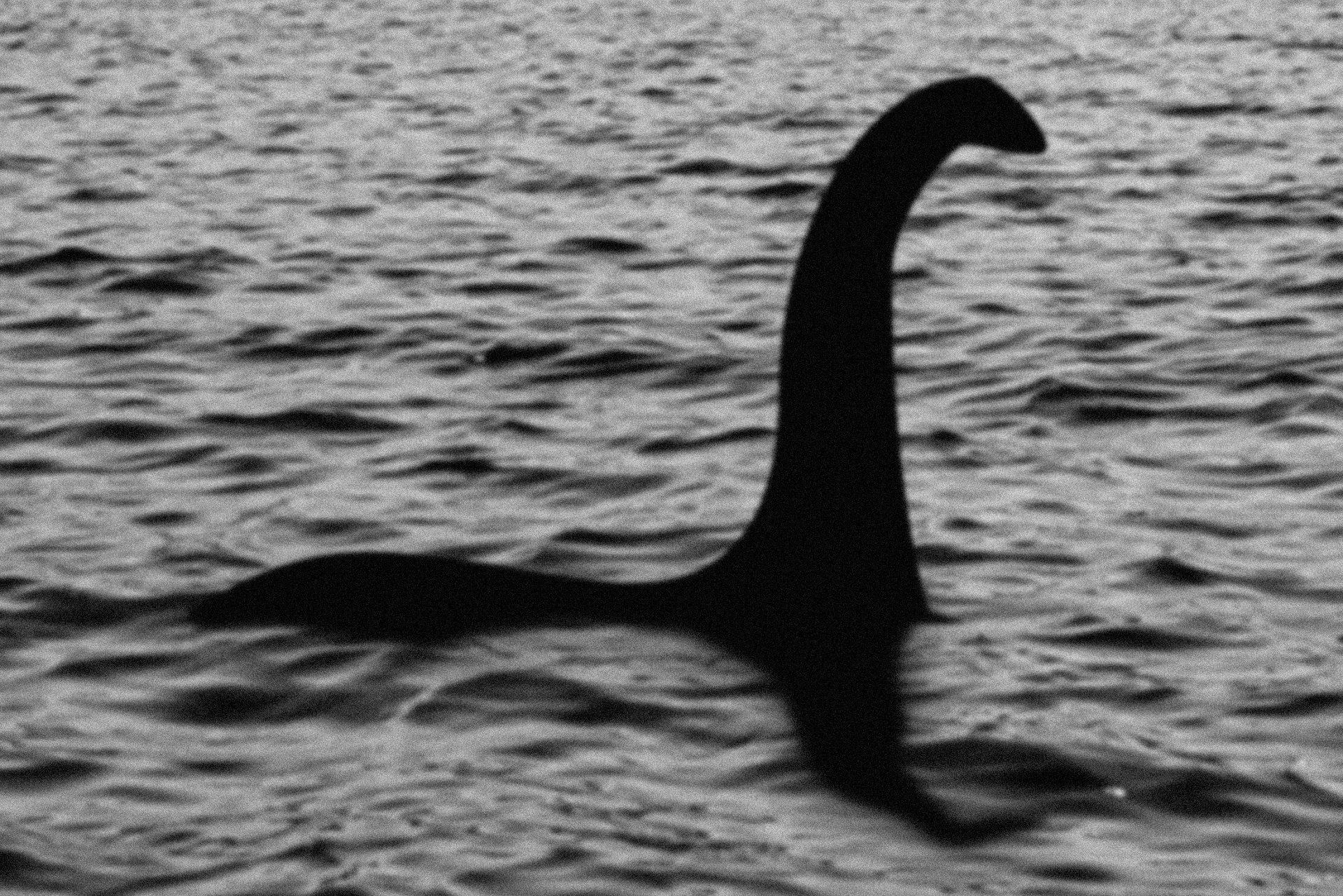 Nessie in Loch Ness