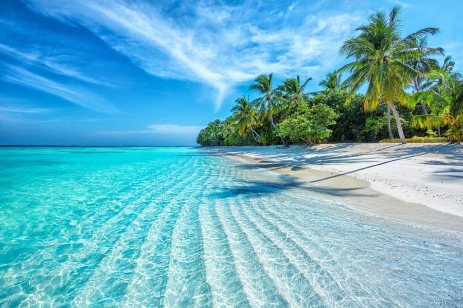A Caribbean coastline. To the right is a sandy beach with palm trees. The turquoise sea is gently waving.
