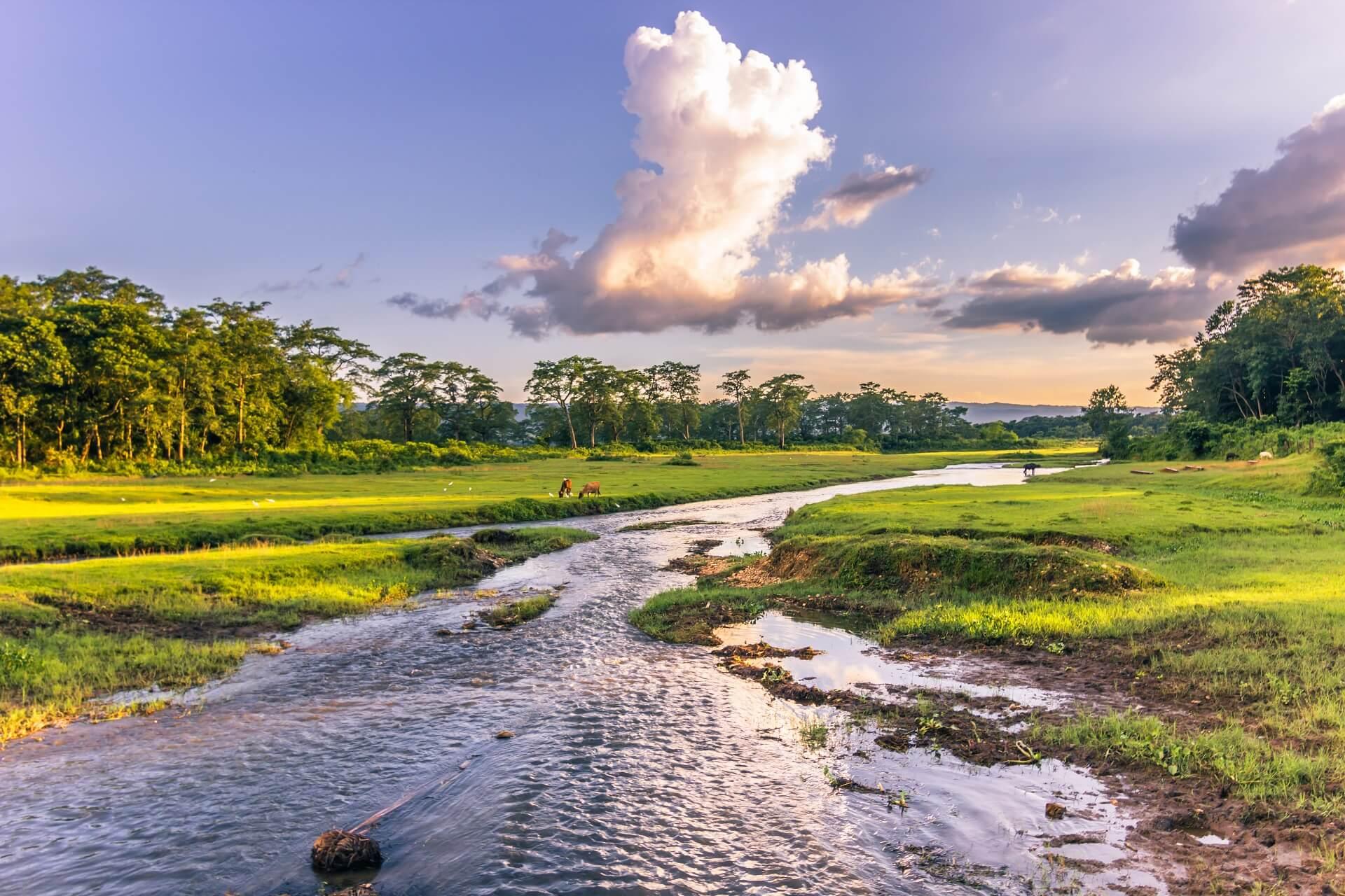Chitwan National Park.