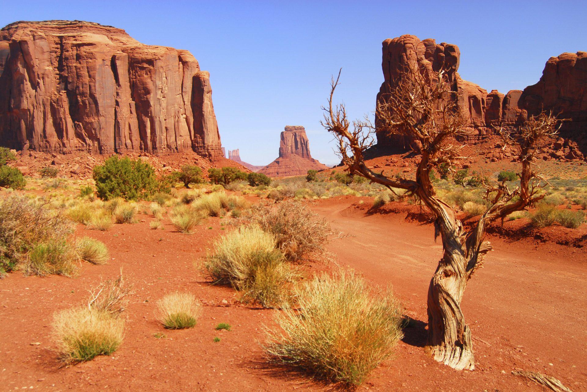 Rock formations in Monument Valley
