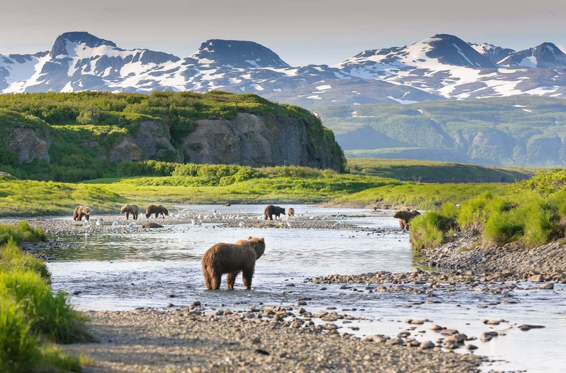 A landscape in Alaska
