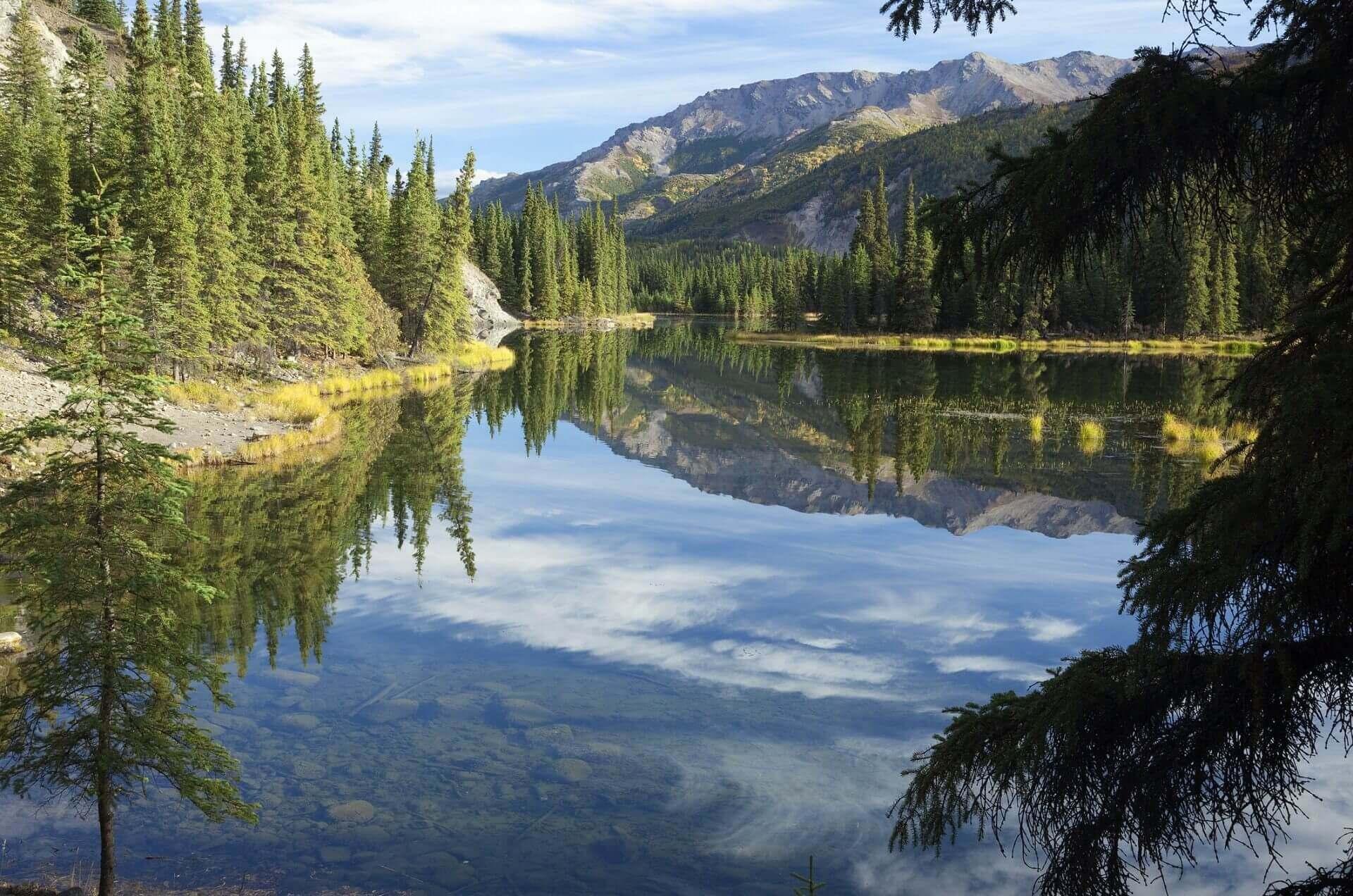 Denali National Park in Alaska