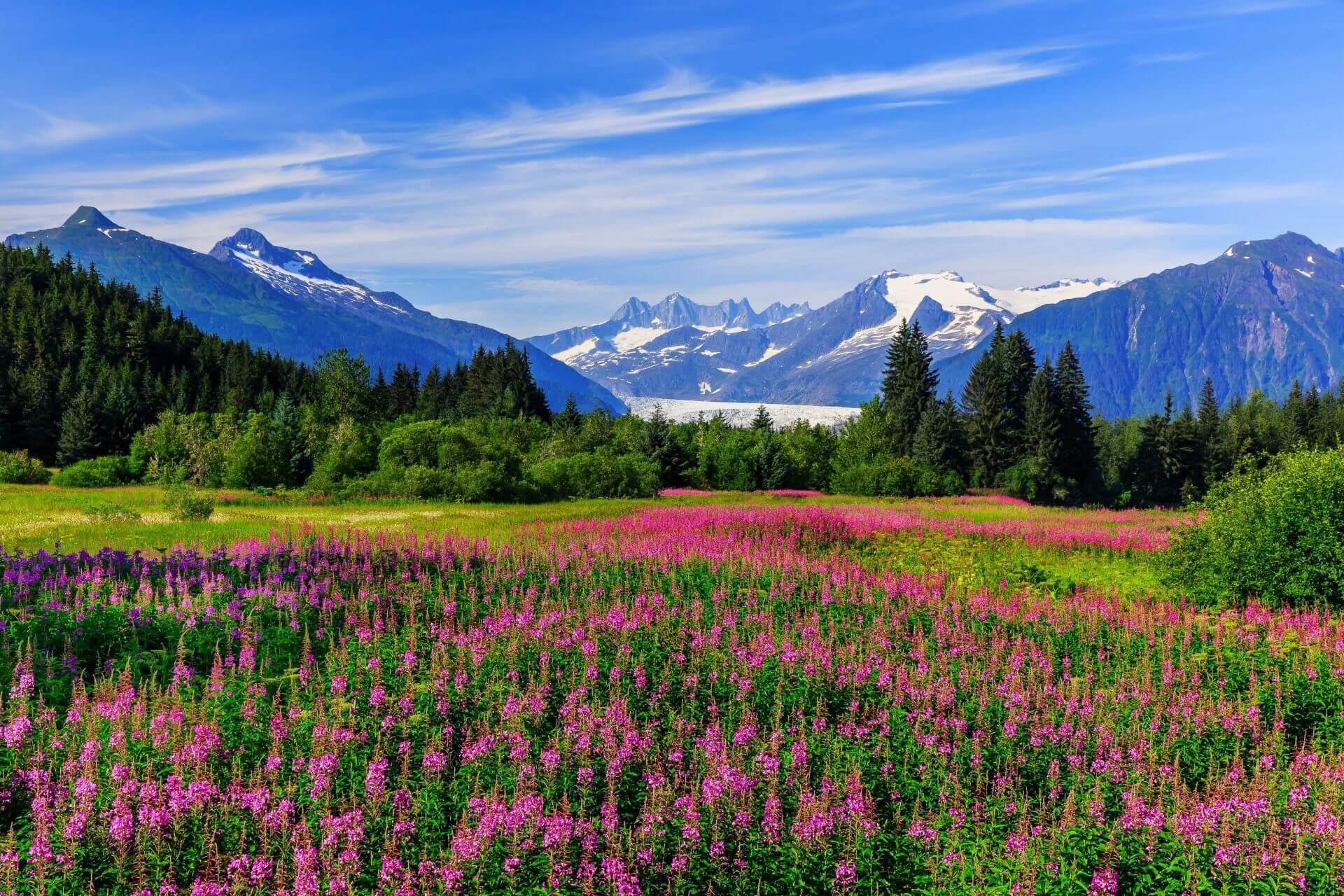 The nature near Juneau in Alaska