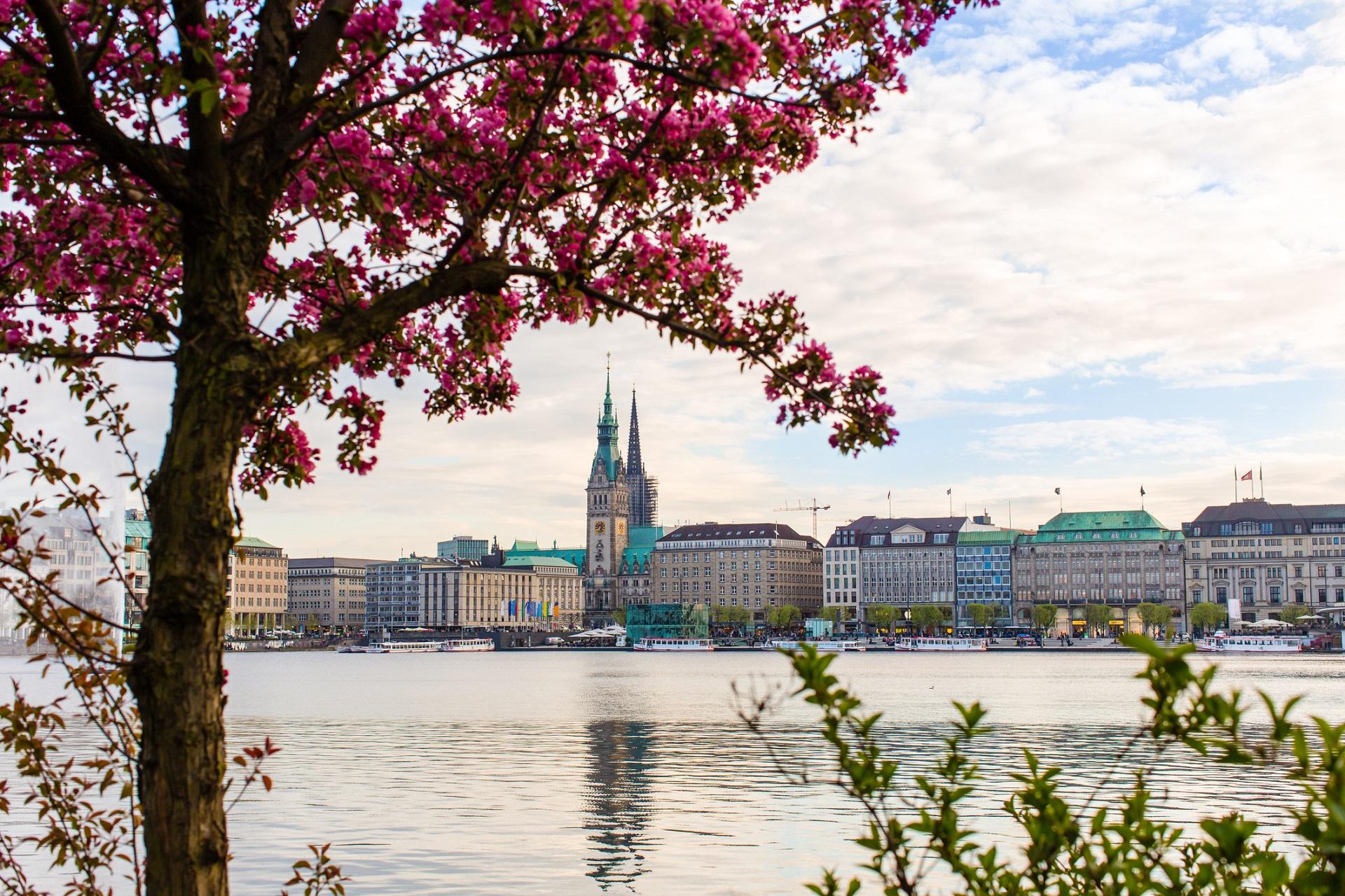 Hamburg in summer