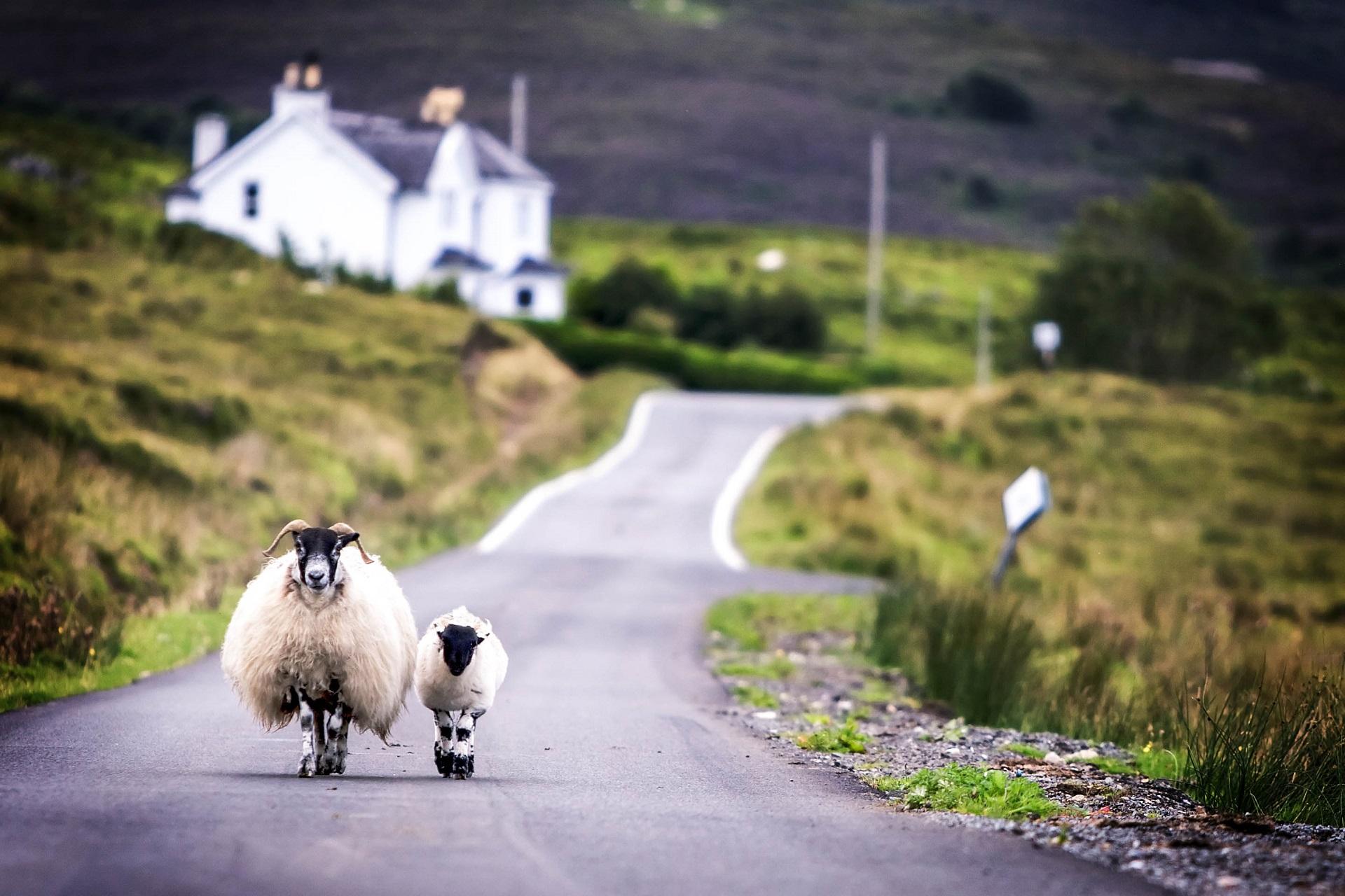 Scottish Highlands