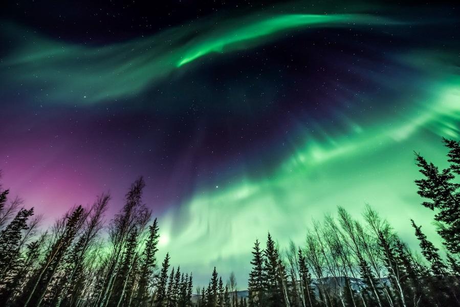 Purple and green Northern Lights in Alaska, USA.